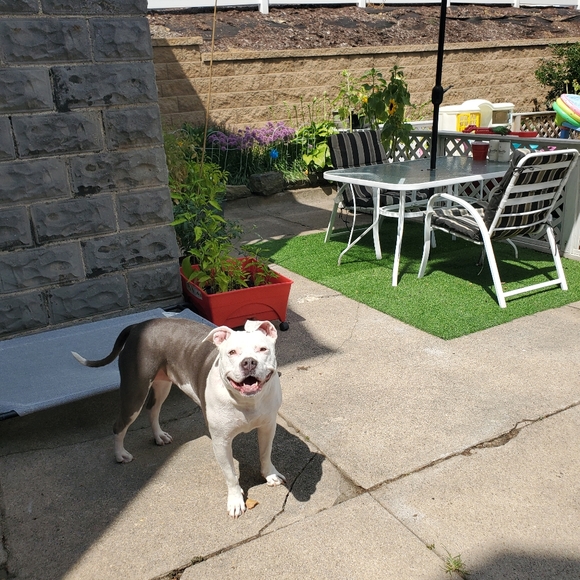 Meet your Posher, Christen - Picture 2 of 4